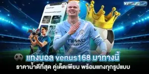 แทงบอล venus168